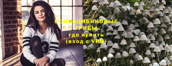 кристаллы Покачи