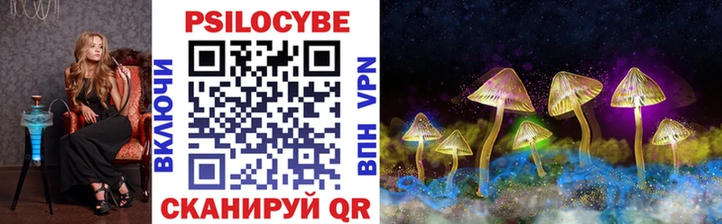 Псилоцибиновые грибы Psilocybine cubensis блэк спрут сайт Ржев