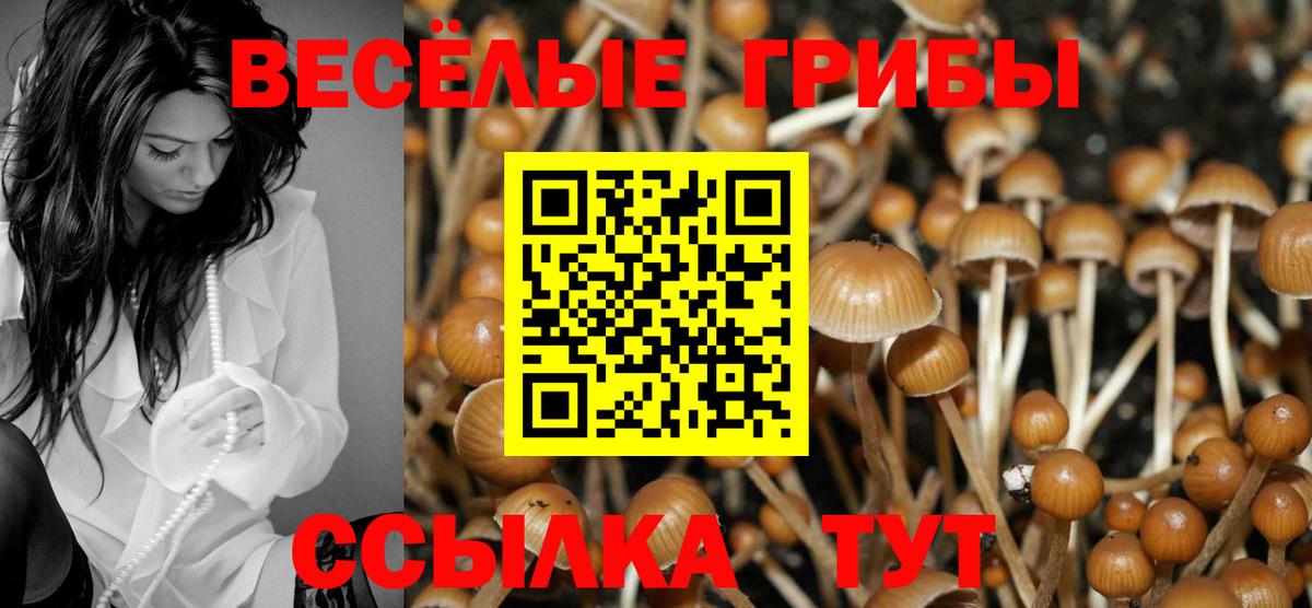 Галлюциногенные грибы Psilocybine cubensis  Вход с VPN  Галлюциногенные грибы Psilocybine cubensis  Ржев 