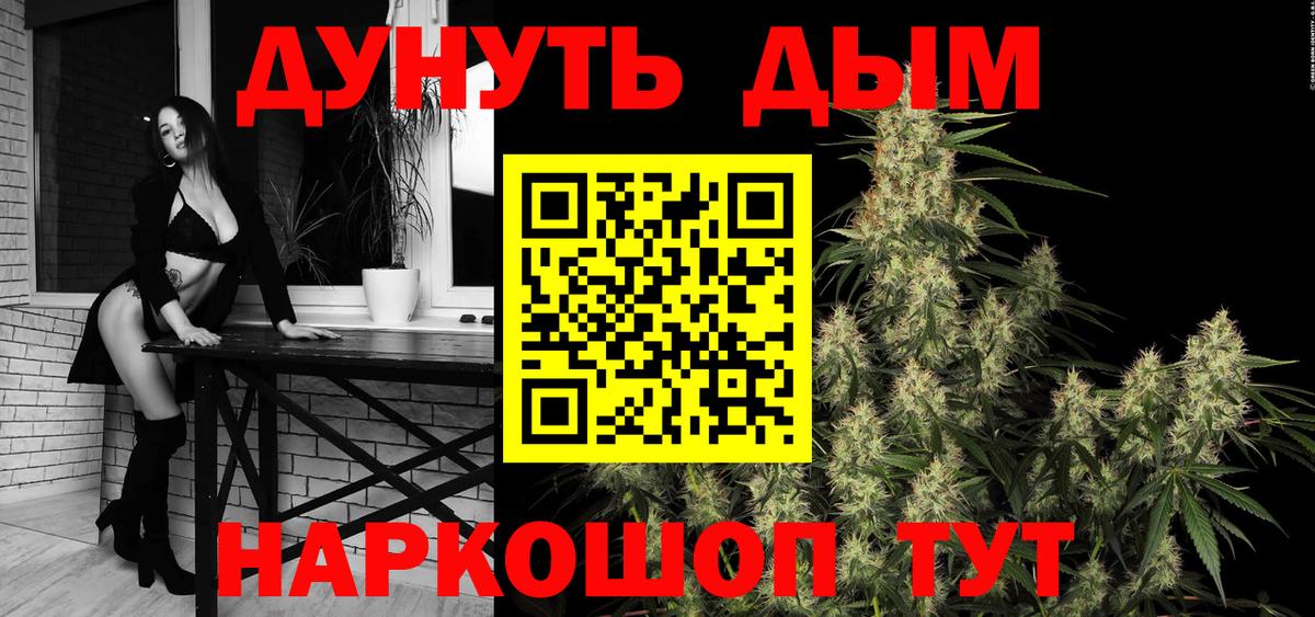 Бошки Шишки план Ржев